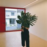 A minimalist interior scene with a person holding a large Monstera leaf, showcasing clean design.